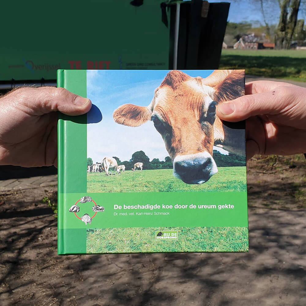 De beschadigde koe door de ureum gekte